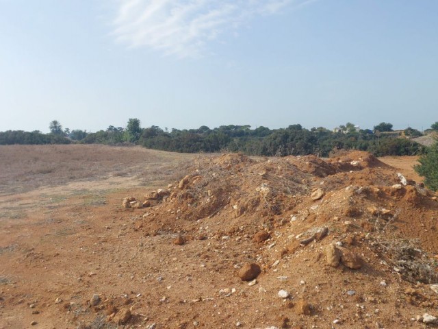 PROJECT LAND FOR SALE IN DIPKARPAZ!