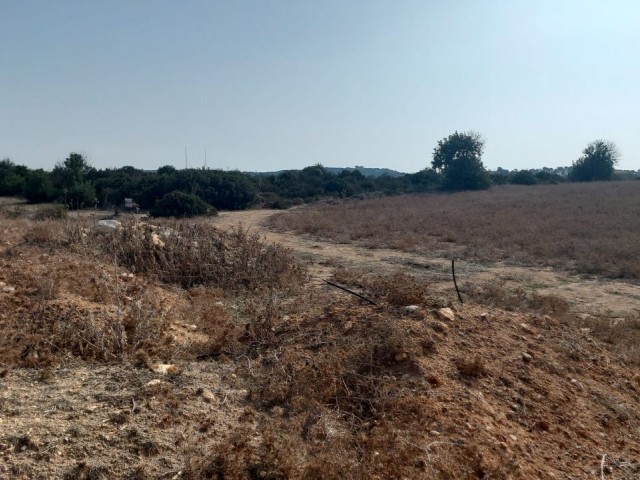 PROJECT LAND FOR SALE IN DIPKARPAZ!