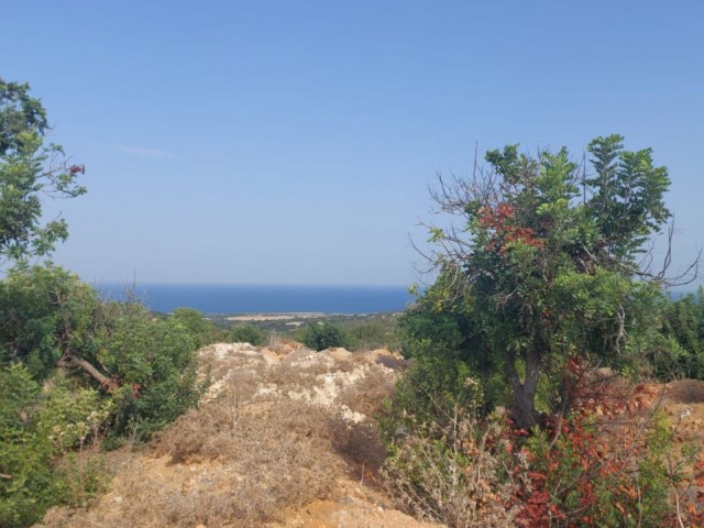 PROJECT LAND FOR SALE IN DIPKARPAZ!