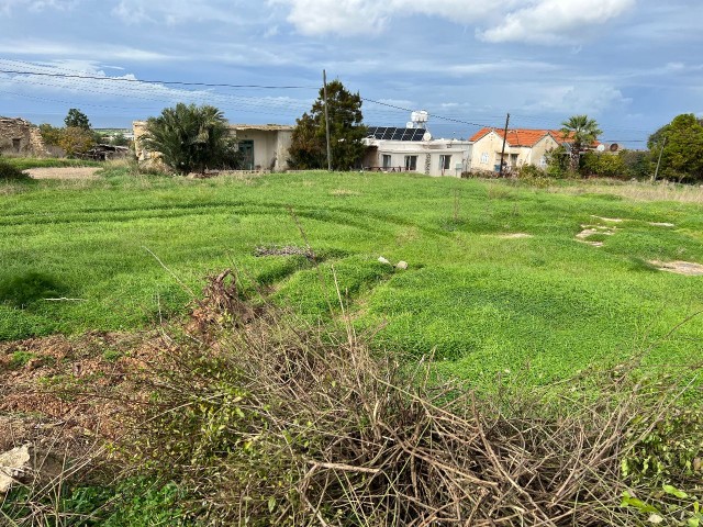 2 Hektar Land zu verkaufen im Dorf in Yeni Erenköy 