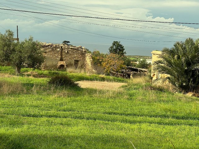 2 Hektar Land zu verkaufen im Dorf in Yeni Erenköy 