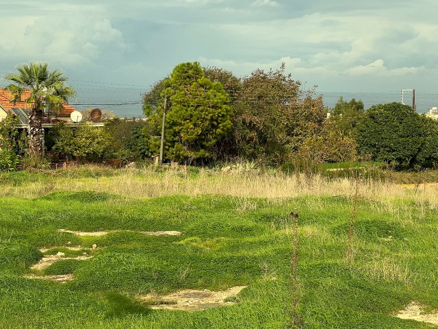 2 Hektar Land zu verkaufen im Dorf in Yeni Erenköy 