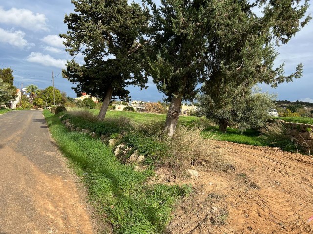 2 Hektar Land zu verkaufen im Dorf in Yeni Erenköy 