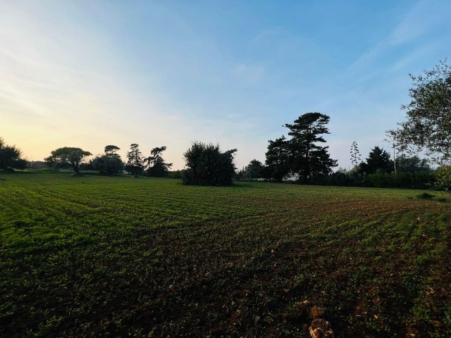 Feld Kaufen in Yeni Erenköy, Iskele