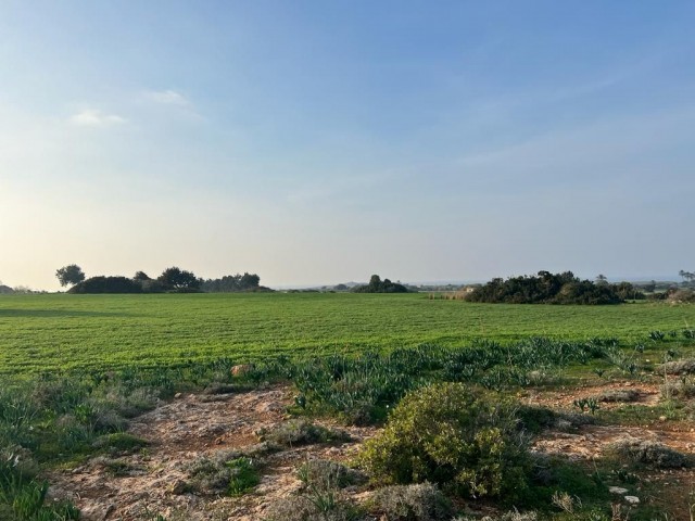 رشته برای فروش in Yeni Erenköy, ایسکله