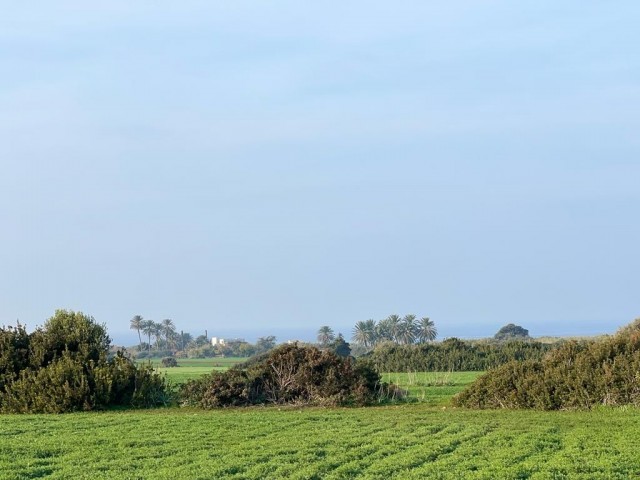 Feld Kaufen in Yeni Erenköy, Iskele