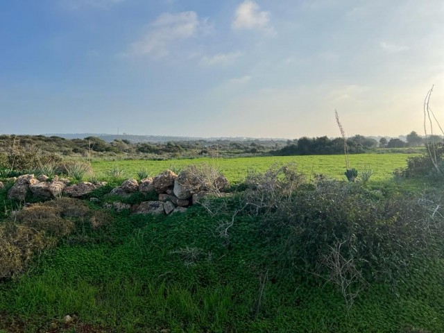 رشته برای فروش in Yeni Erenköy, ایسکله