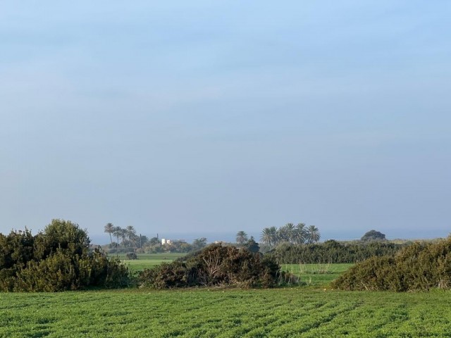 Feld Kaufen in Yeni Erenköy, Iskele