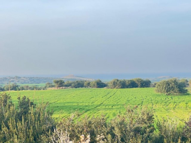 4 Hektar 1 Evlek-Grundstück zum Verkauf mit Meerblick in Yeni Erenköy