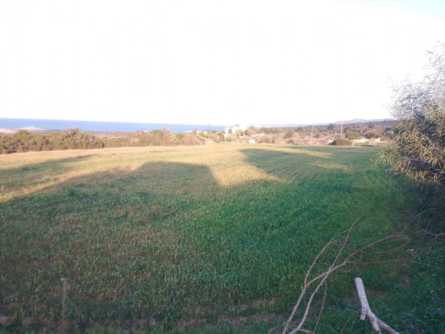 Field For Sale in Yeni Erenköy, Iskele