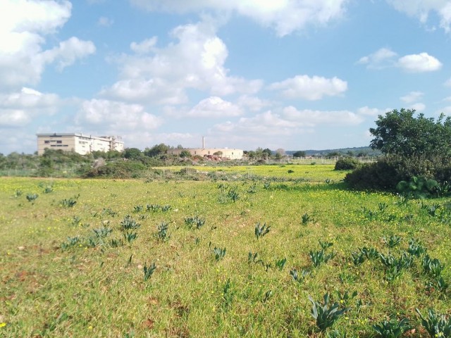 4 Decares of Land for Sale with Sea View in Yeni Erenkoy