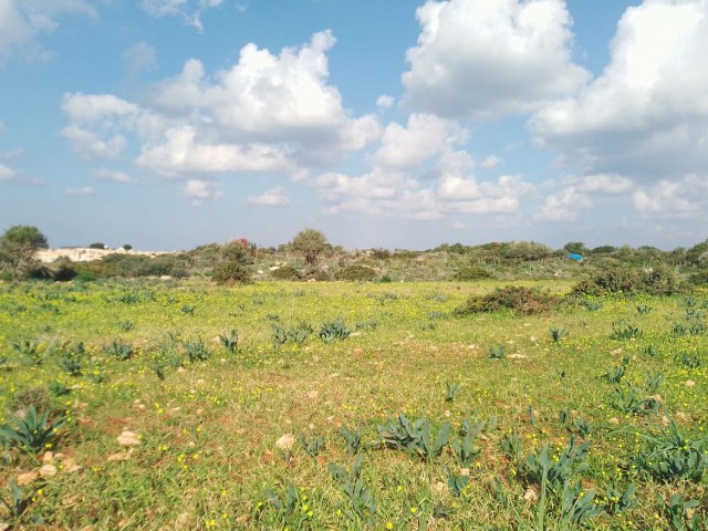 4 Decares of Land for Sale with Sea View in Yeni Erenkoy