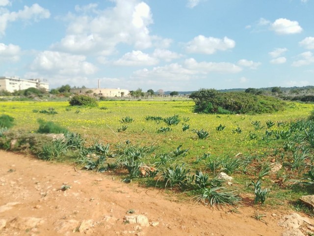 4 Dekaden Land zum Verkauf mit Meerblick in Yeni Erenkoy