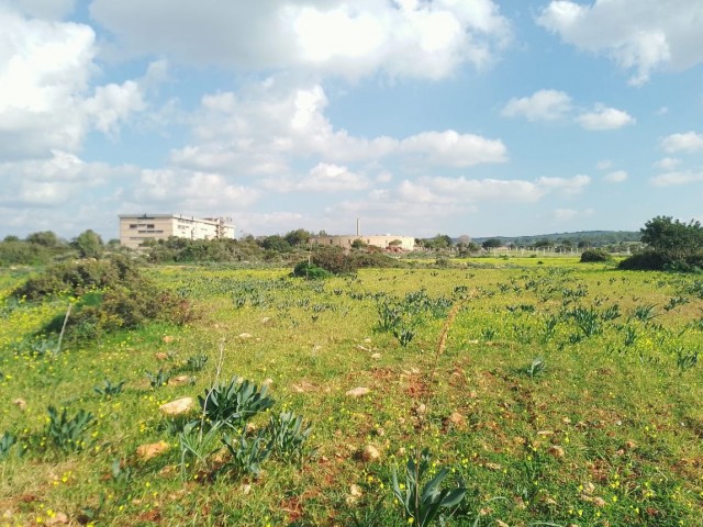 4 Decares of Land for Sale with Sea View in Yeni Erenkoy