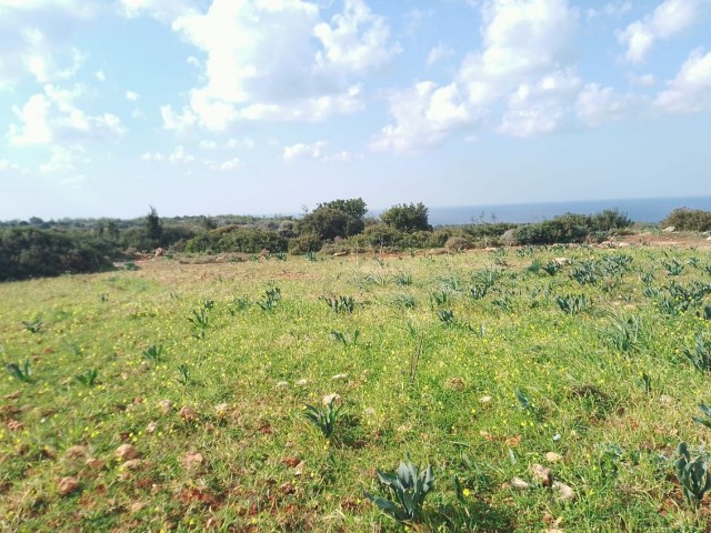 4 Decares of Land for Sale with Sea View in Yeni Erenkoy