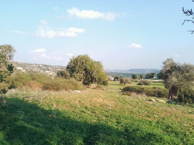 23 ده خانه 2 خانه برای فروش در روستای آداچای در نزدیکی Yeni Erenköy