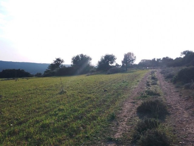 23 ده خانه 2 خانه برای فروش در روستای آداچای در نزدیکی Yeni Erenköy