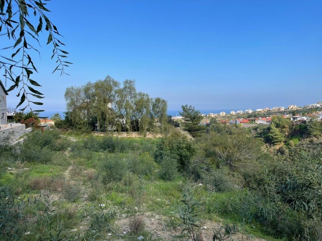 1 DONE OF 1 EVLEK LAND IN ÇATALKOY, KYRENIA