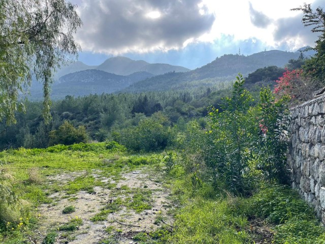 1 DONE OF 1 EVLEK LAND IN ÇATALKOY, KYRENIA