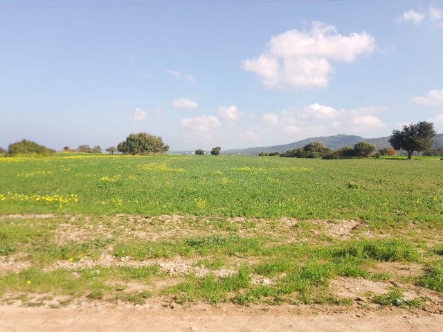 8 Decares of Land for Sale with Sea View in Yeni Erenkoy