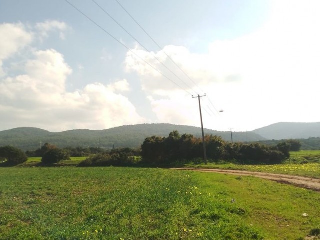 8 Decares of Land for Sale with Sea View in Yeni Erenkoy