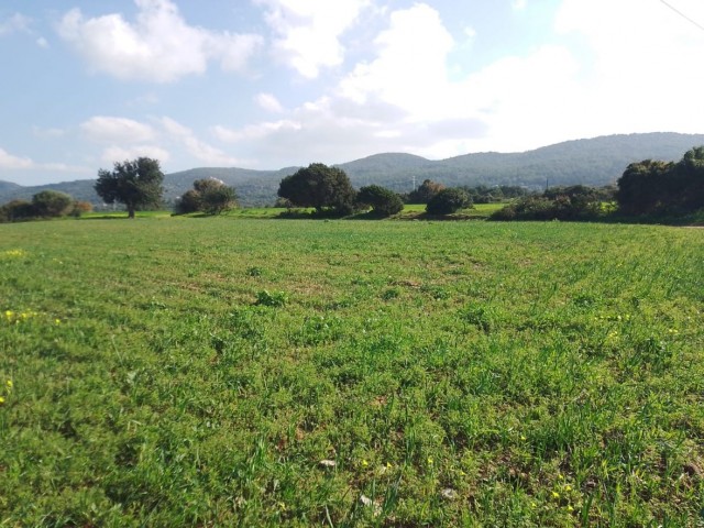 8 Dekaden Land zum Verkauf mit Meerblick in Yeni Erenkoy