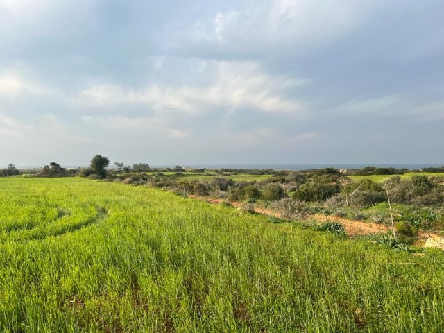 Yenierenköy'de deniz manzaralı satılık arazi