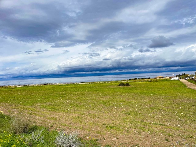 فروش 29 دهیاری زمین در روستای بالالان قابل آبادانی