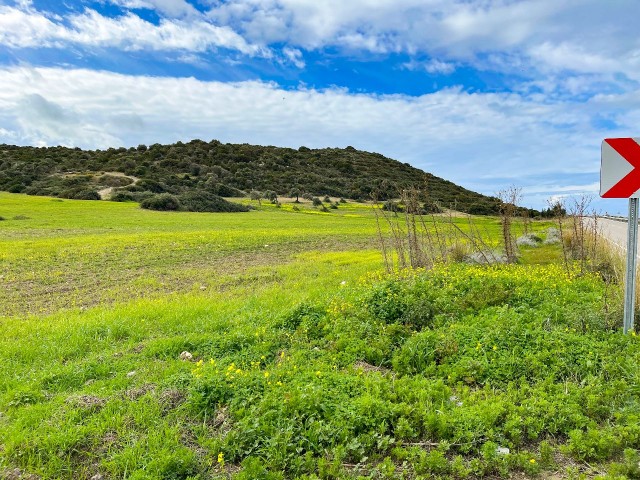 29 Dekaden Land zum Verkauf im Dorf Balalan, offen für die Entwicklung