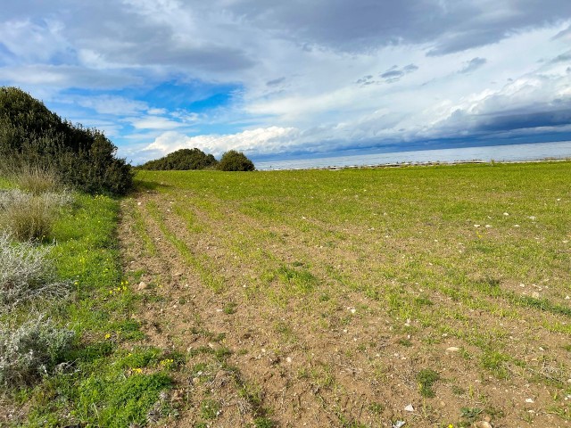 29 Dekaden Land zum Verkauf im Dorf Balalan, offen für die Entwicklung