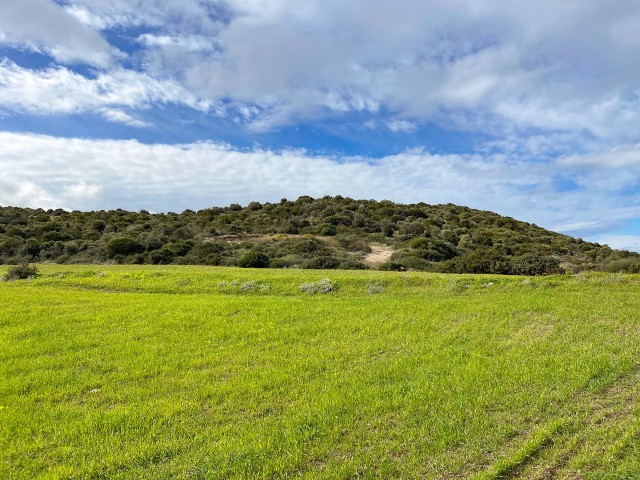 29 Dekaden Land zum Verkauf im Dorf Balalan, offen für die Entwicklung