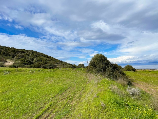 فروش 29 دهیاری زمین در روستای بالالان قابل آبادانی