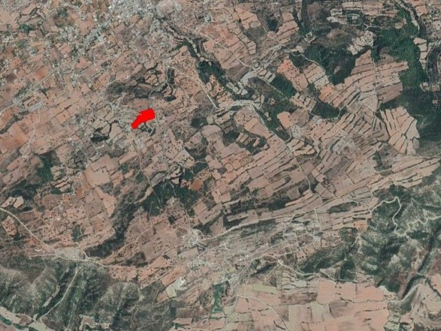 10 Decares Of Land For Sale In The Village In Yeni Erenköy