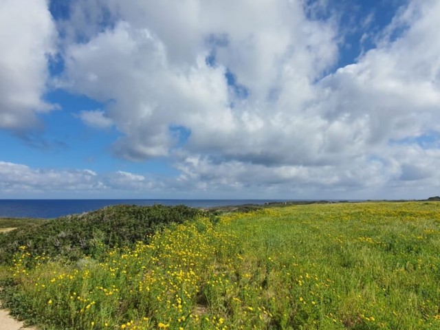 ISKELE KAPLICA INVESTITION DIREKT AM MEER UNÜBERSEHBAR HERRLICHES FELD ** 