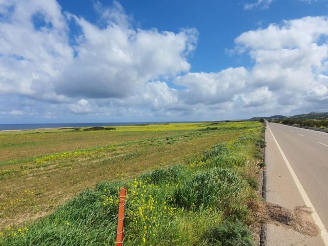 رشته برای فروش in Yedikonuk, ایسکله