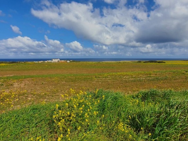 رشته برای فروش in Yedikonuk, ایسکله