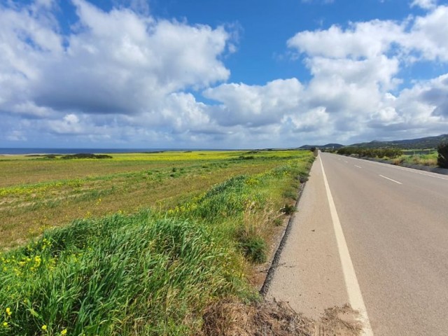 رشته برای فروش in Yedikonuk, ایسکله