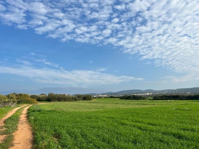 1 Hektar Land zu verkaufen in Yenierenköy