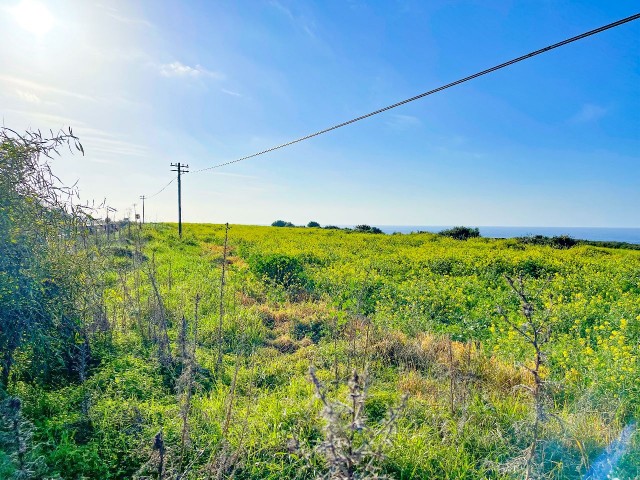 5 Acres 2 Häuser Land zu verkaufen in New Erenkoy