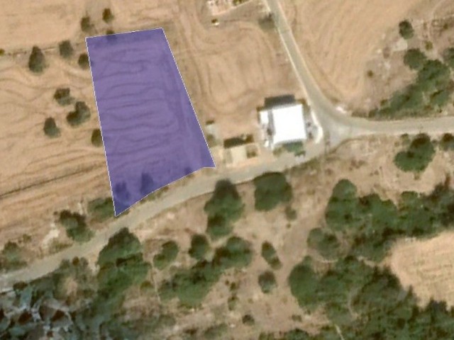 1 Acre 2 Houses Land for Sale in the Village in Yeni Erenköy 