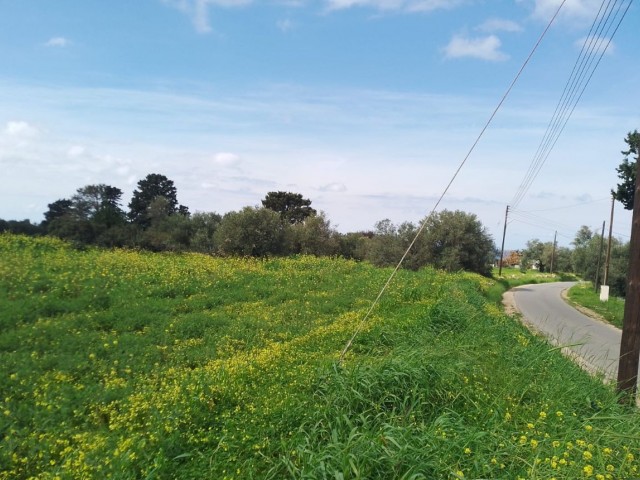 Zu verkaufen in Yeni Erenköy Zoneneinteilung, Natur und Meerblick 1 Acre 2 Häuser Land