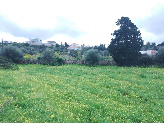 Zoning for Sale in Yeni Erenköy, Nature and Sea View 1 Acre 2 Houses Land