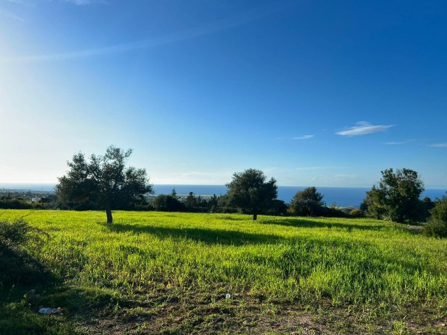 18 HEKTAR LAND MIT MEERBLICK IN ISKELE-SIPAHI ZU VERKAUFEN 