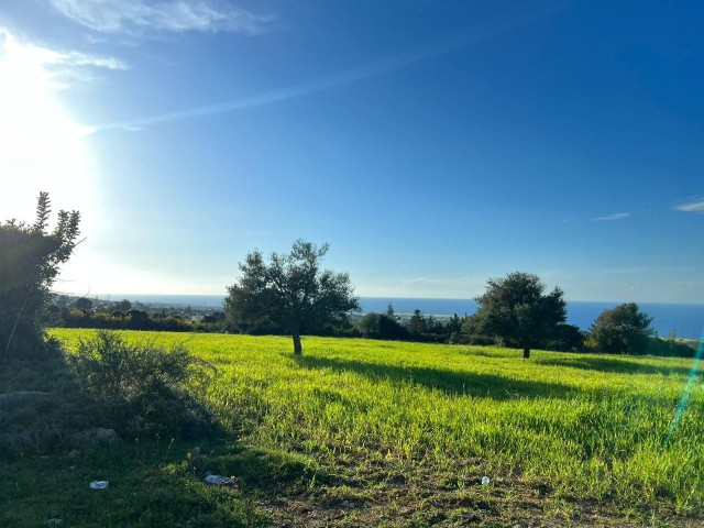 18 HEKTAR LAND MIT MEERBLICK IN ISKELE-SIPAHI ZU VERKAUFEN 