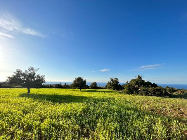 18 HEKTAR LAND MIT MEERBLICK IN ISKELE-SIPAHI ZU VERKAUFEN 