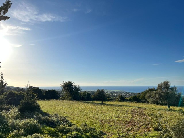 18 HEKTAR LAND MIT MEERBLICK IN ISKELE-SIPAHI ZU VERKAUFEN 