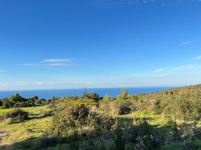 18 HEKTAR LAND MIT MEERBLICK IN ISKELE-SIPAHI ZU VERKAUFEN 