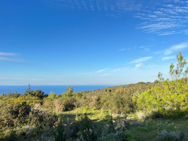 18 HEKTAR LAND MIT MEERBLICK IN ISKELE-SIPAHI ZU VERKAUFEN 