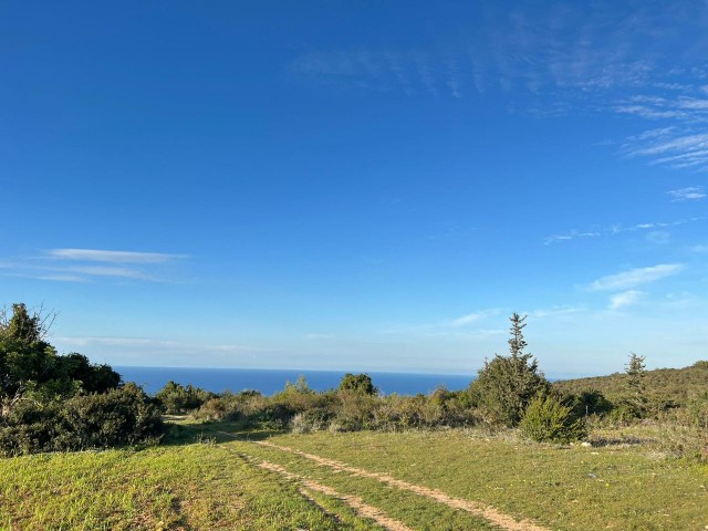 18 HEKTAR LAND MIT MEERBLICK IN ISKELE-SIPAHI ZU VERKAUFEN 