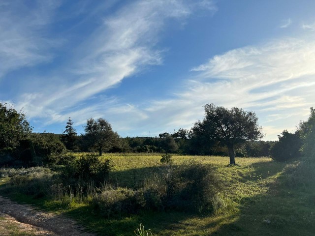 18 HEKTAR LAND MIT MEERBLICK IN ISKELE-SIPAHI ZU VERKAUFEN 